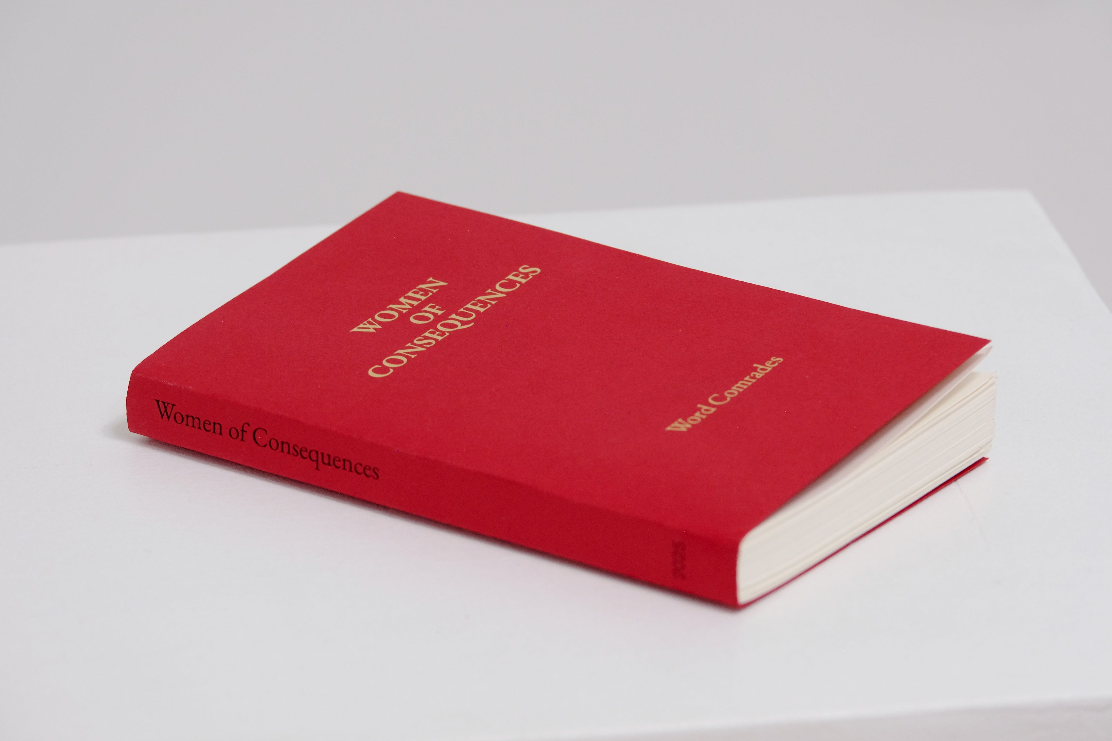 Women of Consequences Image 1