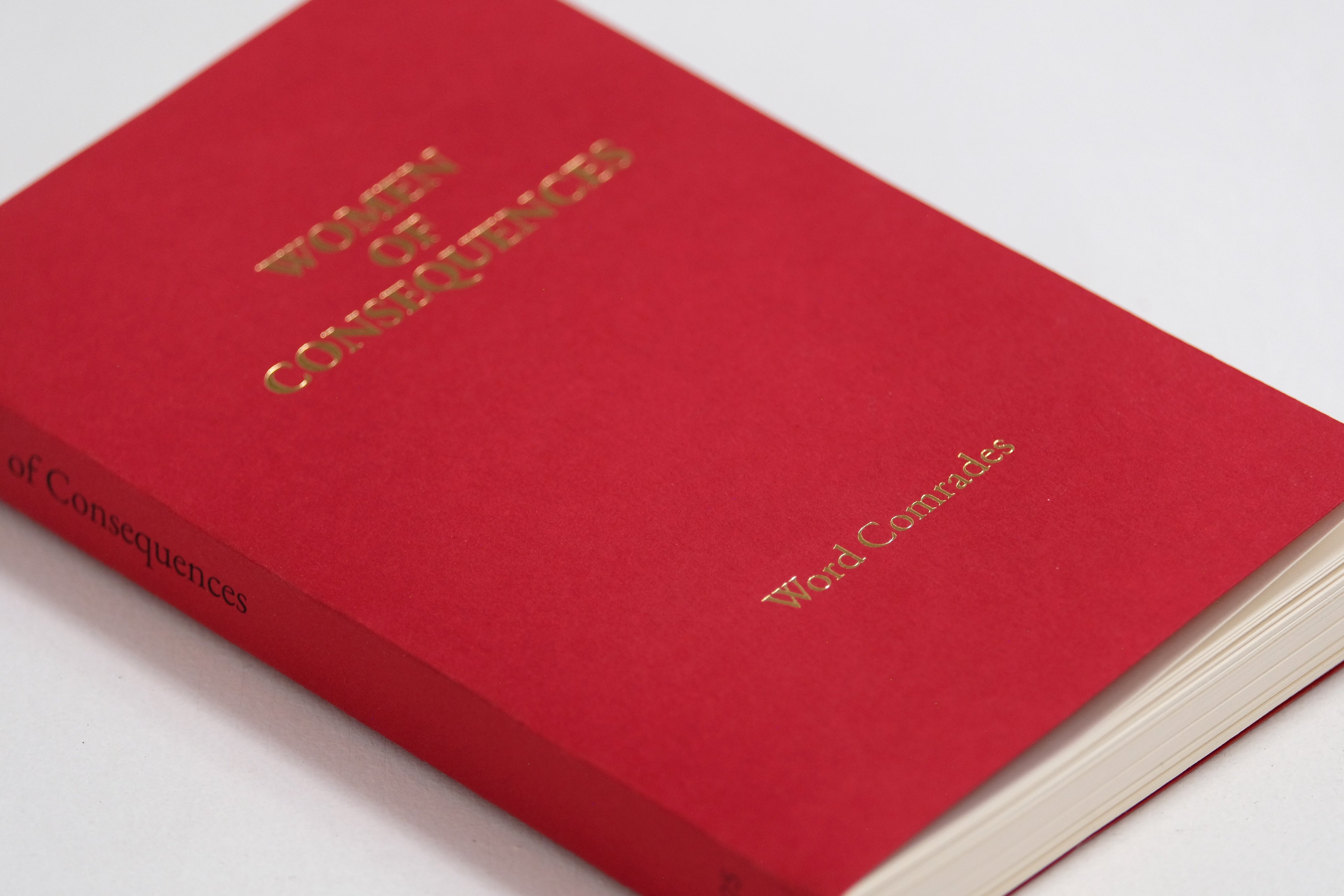 Women of Consequences Image 1